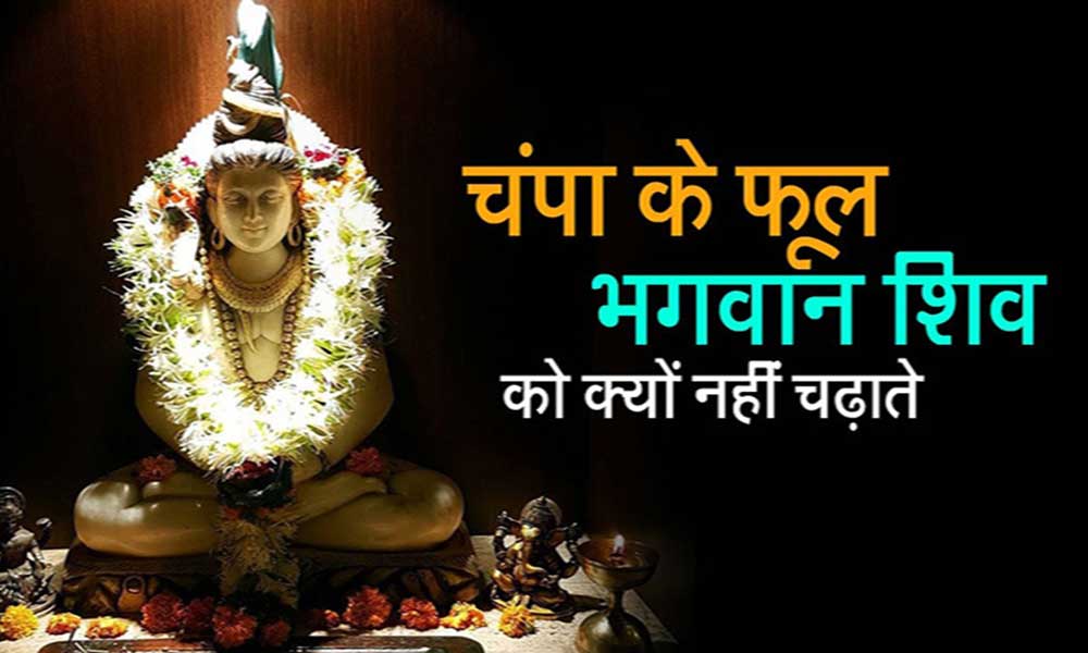 शिव के पूजन में चंपा के फूल