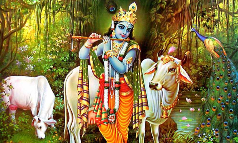 श्रीकृष्‍ण के मोर पंख