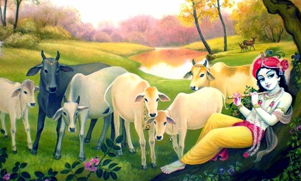 गाय माता से जुड़े शुभ शकुन