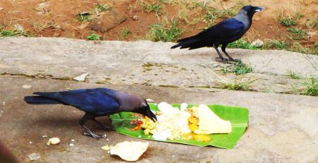 श्राद्ध पक्ष