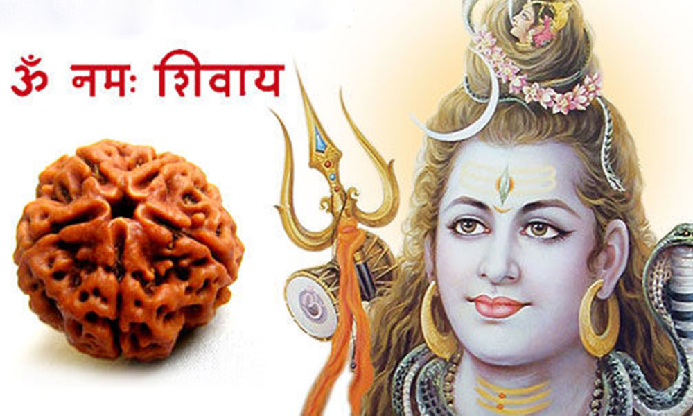 Panch Mukhi Rudraksha