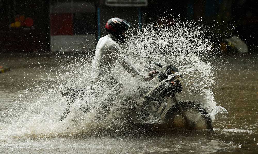 forecast about rainfall