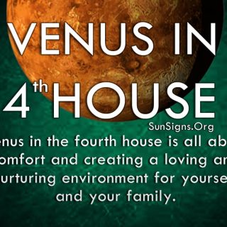 planet-venus-t in-house-4